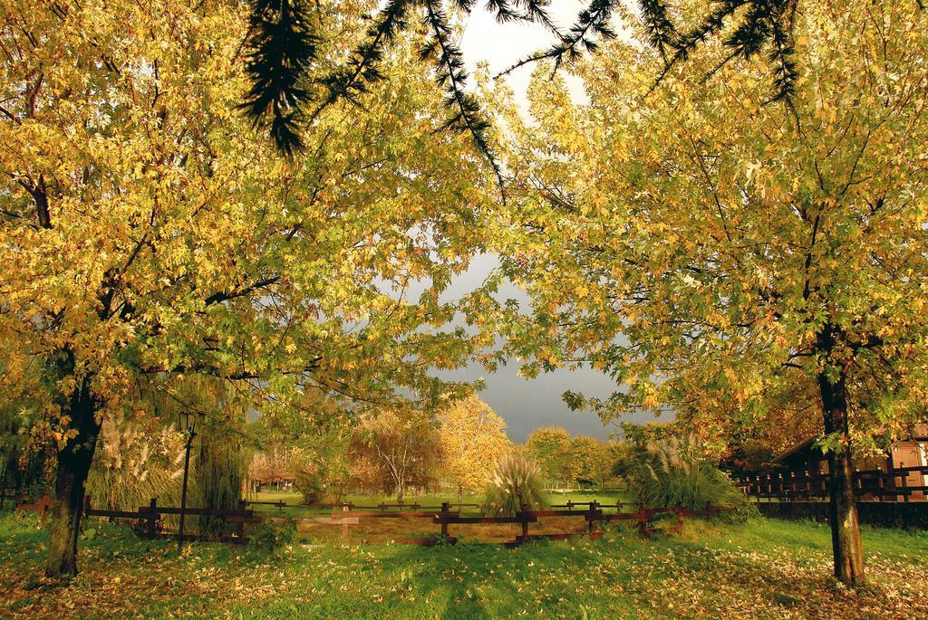 Agriturismo Monte Due Torri Genzano di Roma Kültér fotó